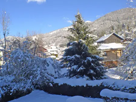 Studio cosy centre village, animaux admis, parking privatif - Photo 7