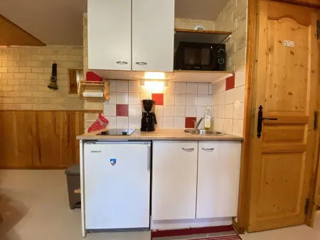 Appartement cosy 6 pers, Praz-sur-Arly, navette gratuite, parking, animaux admis - Photo 2