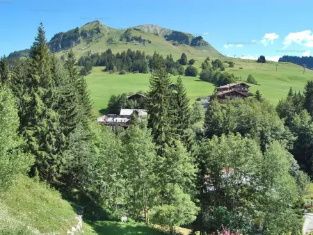 Duplex 2 chambres pour 6 - au pied des pistes - Le Grand-Bornand - Photo 9