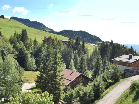 Duplex 2 chambres pour 6 - au pied des pistes - Le Grand-Bornand - Photo 10