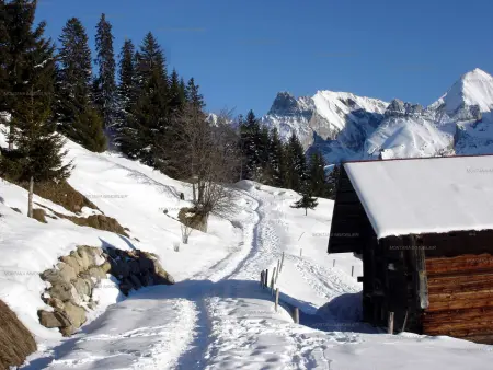 Duplex 2 chambres pour 6 - au pied des pistes - Le Grand-Bornand - Photo 14