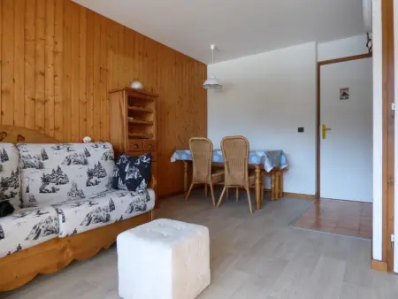 Studio + Cabine 27m² Sud - 4 pers, Grand Bornand, balcon, proche commerces et pistes - Photo 3