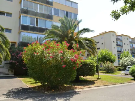 Studio Cabine 4 pers, proche mer, clim, parking, animaux ok - Photo 16