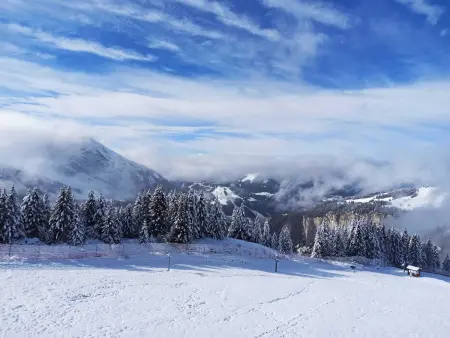 Avoriaz - Bel appartement rénové pour 4 pers avec wifi - Photo 8