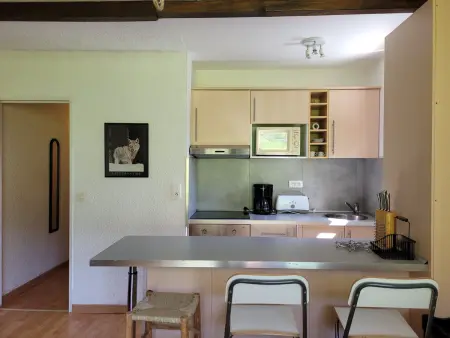 Appartement rénové 2P sur pistes, calme à Pra Loup - Photo 10
