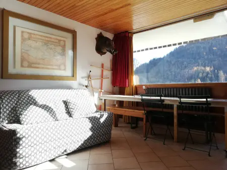 Agréable 2P sur pistes, 4/6 pers, Pra Loup, balcon sud - Photo 6