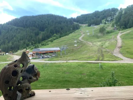 Agréable 2P sur pistes, 4/6 pers, Pra Loup, balcon sud - Photo 11
