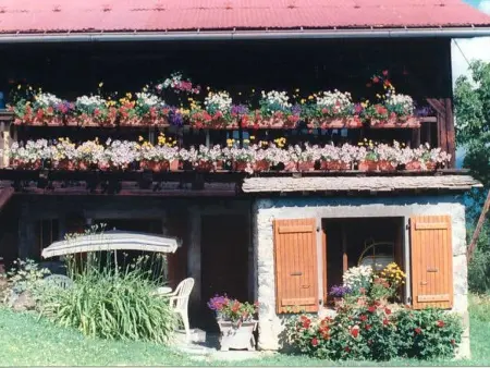 Charmant appartement en ferme rénovée, sauna & terrasse - Photo 12
