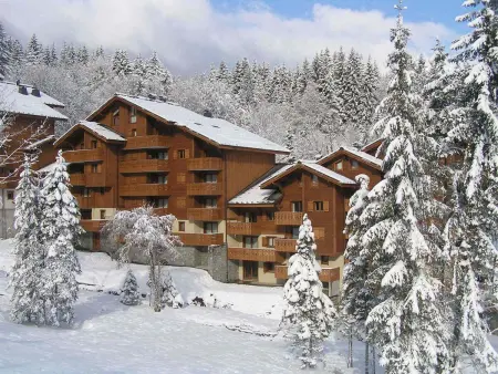 Appartement 7 pers, proche des pistes, balcon, Appartement 6 personnes à Morillon 1100 - Photo 16