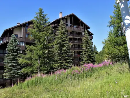 Studio coin montagne à Risoul 1850, Appartement 3 personnes à Risoul - Photo 11