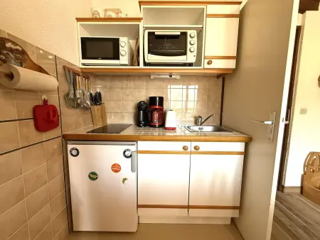 Appartement skis aux pieds avec balcon, parking et casier à ski à Praz-sur-Arly - Photo 4
