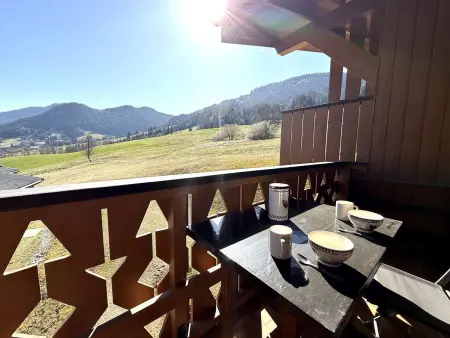 Appartement skis aux pieds avec balcon, parking et casier à ski à Praz-sur-Arly - Photo 11