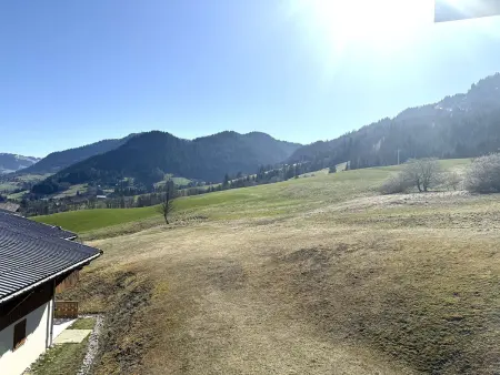 Appartement skis aux pieds avec balcon, parking et casier à ski à Praz-sur-Arly - Photo 14