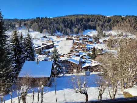 Appartement lumineux 2 chambres avec parking et vue montagnes - Photo 7