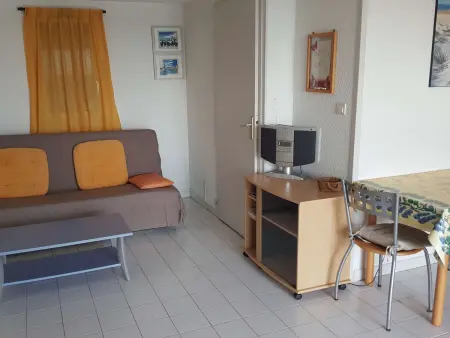 Appartement duplex 3 pièces avec piscine, climatisation et garage à Port Camargue - Photo 3