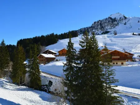 Appt 2 pièces, 6 pers, proche pistes, parking, animaux admis - Photo 18