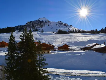 Appt 2 pièces, 6 pers, proche pistes, parking, animaux admis - Photo 19