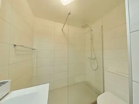 Studio cosy 4 pers au Grand-Bornand, près des pistes, animaux admis - Photo 12