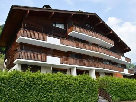 Studio cosy 4 pers au Grand-Bornand, près des pistes, animaux admis - Photo 15