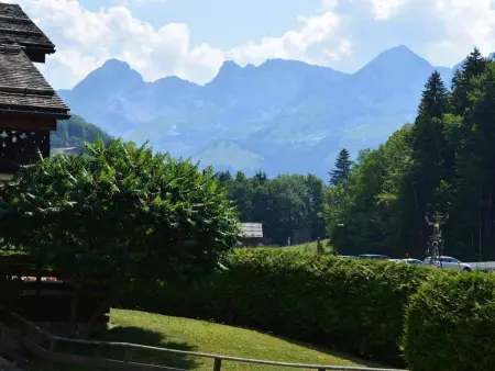 Studio cabine 5 pers, proche patinoire et pistes, Le Grand-Bornand - Photo 11