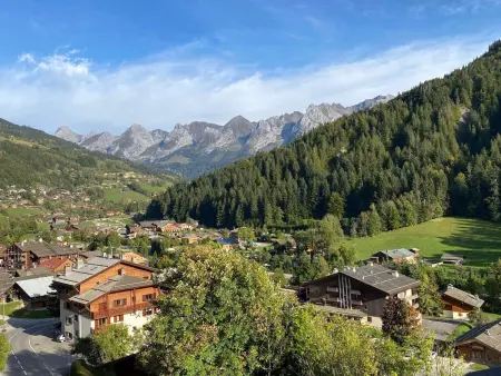 Appartement T2 ensoleillé, 5 couchages - Le Grand-Bornand - Photo 15