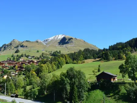 Appt 2 pièces pour 5 pers avec balcon et parking à Chinaillon, près des pistes - Photo 15