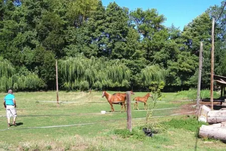 Ferienwohnung in Retournac, Retraite rurale avec piscine dans les collines - Photo 9