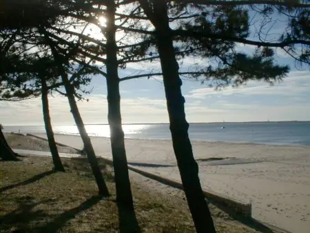 Appartement T2 Neuf Centre Arcachon, Proche Plage, Parking Inclus - Photo 18