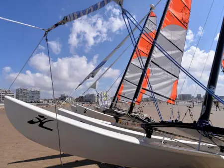 Studio rénové sur le port avec terrasse et parking privatifs, animaux acceptés - Photo 17