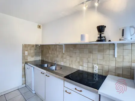 Appart F2 à Lamalou, terrasse, wifi, animaux acceptés, proche centre & thermes - Photo 6