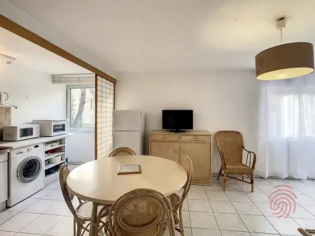 Appart F2 à Lamalou, terrasse, wifi, animaux acceptés, proche centre & thermes - Photo 9