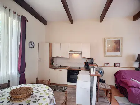 Charmant F2 avec terrasse près du centre et des thermes, animaux acceptés, options de services disponibles - Photo 1