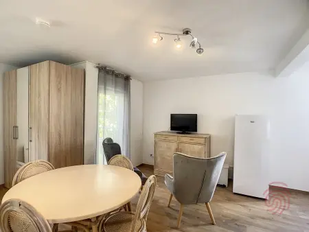 Studio cosy à 50m des Thermes de Lamalou-les-Bains avec terrasse, wifi et animaux acceptés - Photo 4