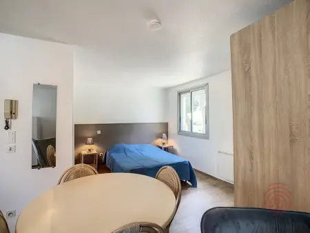 Studio cosy à 50m des Thermes de Lamalou-les-Bains avec terrasse, wifi et animaux acceptés - Photo 6