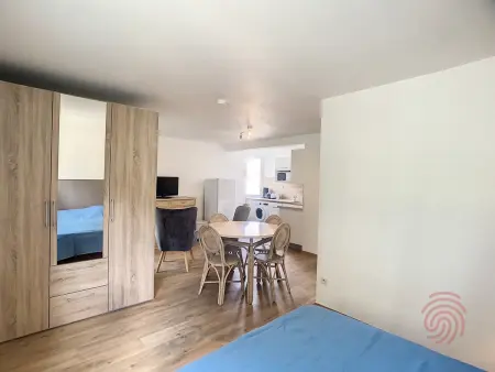 Studio cosy à 50m des Thermes de Lamalou-les-Bains avec terrasse, wifi et animaux acceptés - Photo 8