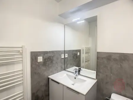 Studio cosy à 50m des Thermes de Lamalou-les-Bains avec terrasse, wifi et animaux acceptés - Photo 11
