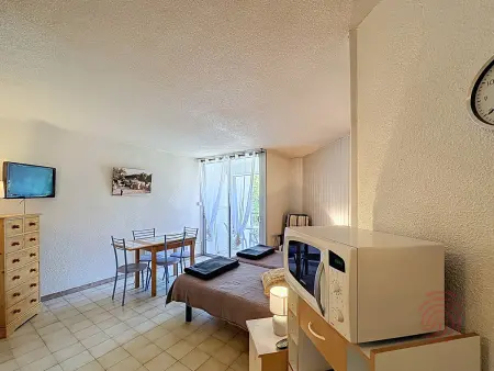 Charmant appartement avec terrasse, parking gratuit et animaux acceptés, proche des thermes à Lamalou - Photo 10