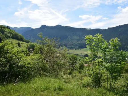 Appartement cosy à Saint-Paul-en-Chablais avec parking privé, 2 chambres pour 6 personnes - Photo 9
