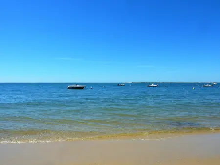 T2 bis rénové à Arcachon centre avec 2 terrasses, clim, parking, proche plage et gare. - Photo 14