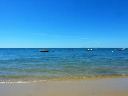 Arcachon centre ville - Charmant T2 avec balcon, parking sécurisé, proche gare, commerces et plage - Photo 16