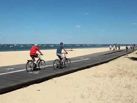 Arcachon centre ville - Charmant T2 avec balcon, parking sécurisé, proche gare, commerces et plage - Photo 17