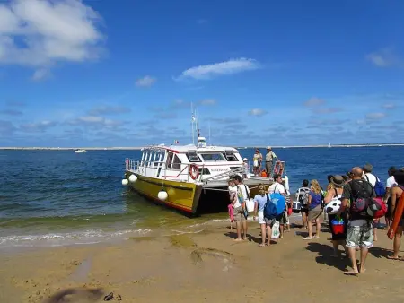 Arcachon centre ville - Charmant T2 avec balcon, parking sécurisé, proche gare, commerces et plage - Photo 18
