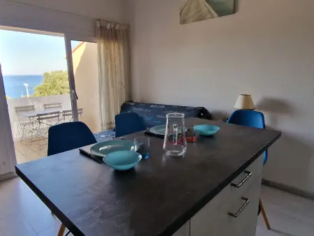 BANYULS-SUR-MER, T2 climatisé, terrasse, parking, proche crique - Photo 7