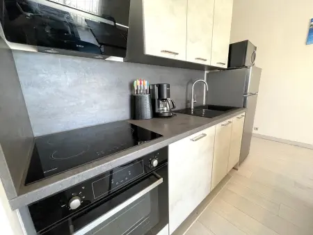 BANYULS-SUR-MER, T2 climatisé, terrasse, parking, proche crique - Photo 10