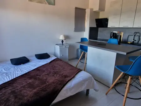BANYULS-SUR-MER, T2 climatisé, terrasse, parking, proche crique - Photo 16