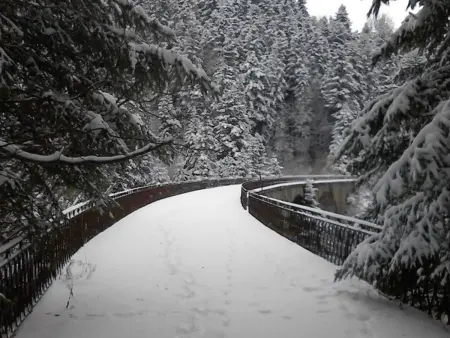 Charmant studio en montagne avec jardin, animaux admis - Photo 16