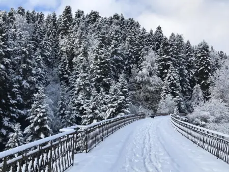 Charmant studio en montagne avec jardin, animaux admis - Photo 18
