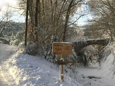 Charmant studio en montagne avec jardin, animaux admis - Photo 22