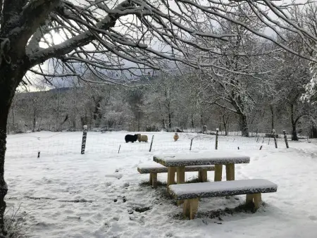 Charmant studio en montagne avec jardin, animaux admis - Photo 24