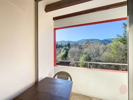 Bel F2 avec terrasse à 650m des Thermes de Lamalou, animaux acceptés, WIFI, proche golf et randonnées - Photo 3